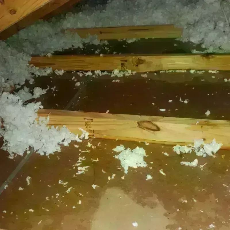 Attic Water Damage in Hurt, VA