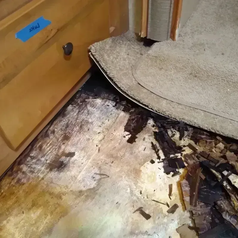 Wood Floor Water Damage in Hurt, VA